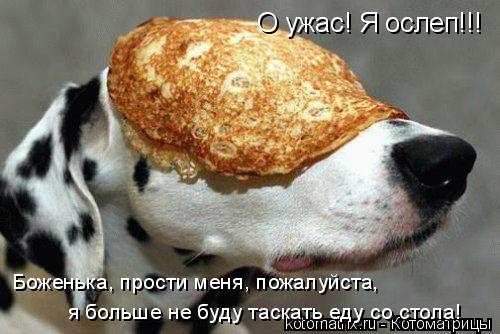 О ужас! Я ослеп!!! Боженька, прости меня, пожалуйста, я больше не буду таскать еду со стола!... Котоматрица: О ужас! Я ослеп!!! Боженька, прости меня, пожалуйста, я больше не буду таскать еду со стола!