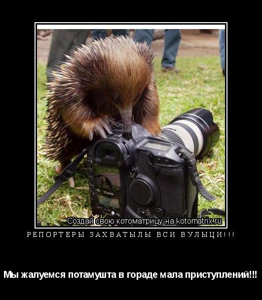 Репортеры захватылы вси вулыци!!! Мы жалуемся потамушта в гораде мала приступлений!!!... Котоматрица: Репортеры захватылы вси вулыци!!! Мы жалуемся потамушта в гораде мала приступлений!!!