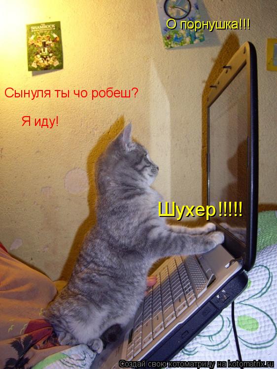 Котоматрица: О порнушка!!! Сынуля ты чо робеш? Сынуля ты чо робеш? Я иду! Шухер!!!!!