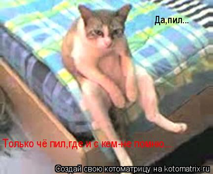 Котоматрица: Да,пил... Только чё пил,где пил не помню... Да,пил...  Только чё пил,где и с кем-не помню...