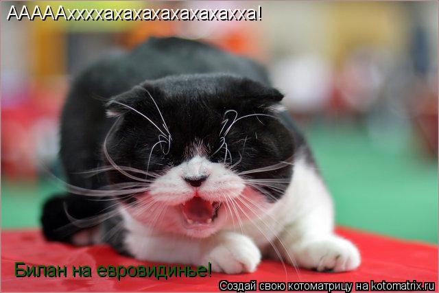 АААААххххахахахахахахахха! Билан на евровидинье!... Котоматрица: АААААххххахахахахахахахха! Билан на евровидинье!