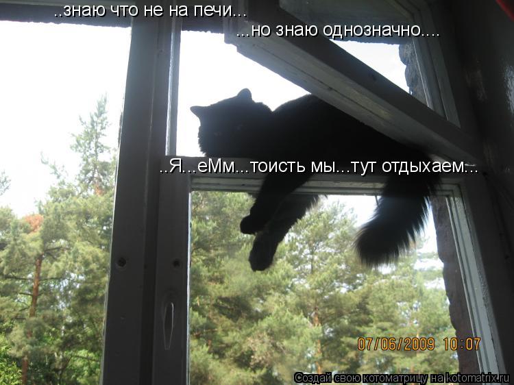 Котоматрица: ..знаю что не на печи... ...но знаю однозначно.... ..Я...еМм...тоисть мы...тут отдыхаем...