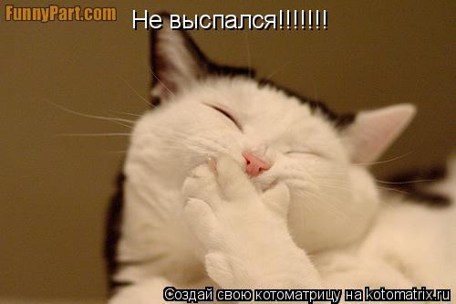 Котоматрица: Не выспался!!!!!!!
