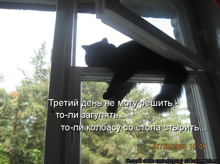 Третий день не могу решить - то-ли загулять... то-ли колбасу со стола стырить...... Котоматрица: Третий день не могу решить - то-ли загулять... то-ли колбасу со стола стырить...