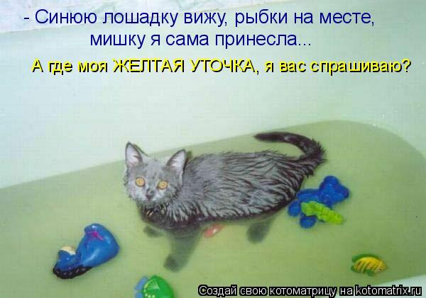 - Синюю лошадку вижу, рыбки на месте, мишку я сама принесла... А где моя ЖЕЛТАЯ УТОЧКА, я вас спрашив... Котоматрица: - Синюю лошадку вижу, рыбки на месте, мишку я сама принесла... А где моя ЖЕЛТАЯ УТОЧКА, я вас спрашиваю?