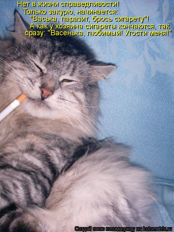 Котоматрица: Нет в жизни справедливости! Только закурю, начинается:  "Васька, паразит, брось сигарету"! А как у хозяина сигареты кончаются, так сразу: "Васе