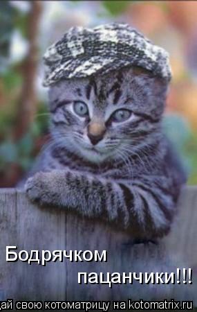 Котоматрица: Бодрячком  пацанчики!!!