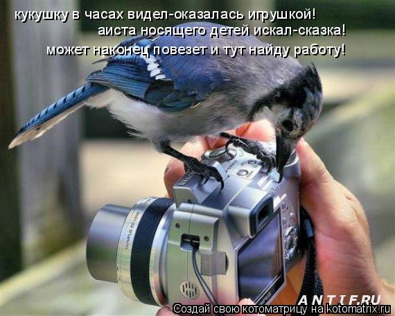 кукушку в часах видел-оказалась игрушкой! аиста носящего детей искал-сказка! может наконец повезет и ... Котоматрица: кукушку в часах видел-оказалась игрушкой! аиста носящего детей искал-сказка! может наконец повезет и тут найду работу!