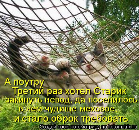 закинуть невод, да поселилось в нем чудище меховое, Третий раз хотел Старик и стало оброк требовать ... Котоматрица: закинуть невод, да поселилось в нем чудище меховое, Третий раз хотел Старик и стало оброк требовать А поутру