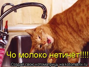 Котоматрица: Чо молоко нетичёт!!!!!!!!!!!!!!!!!!!!!!!!