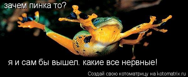 зачем пинка то? я и сам бы вышел. какие все нервные!... Котоматрица: зачем пинка то? я и сам бы вышел. какие все нервные!