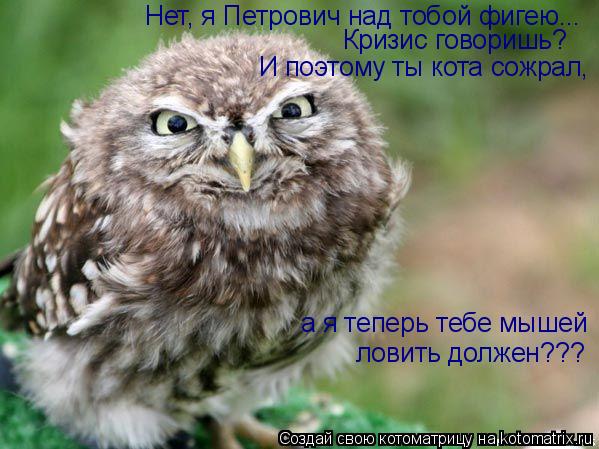 Нет, я Петрович над тобой фигею... Кризис говоришь? И поэтому ты кота сожрал, а я теперь тебе мышей л... Котоматрица: Нет, я Петрович над тобой фигею... Кризис говоришь? И поэтому ты кота сожрал, а я теперь тебе мышей ловить должен???