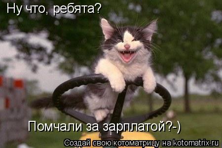 Ну что, ребята? Помчали за зарплатой?-)... Котоматрица: Ну что, ребята? Помчали за зарплатой?-)