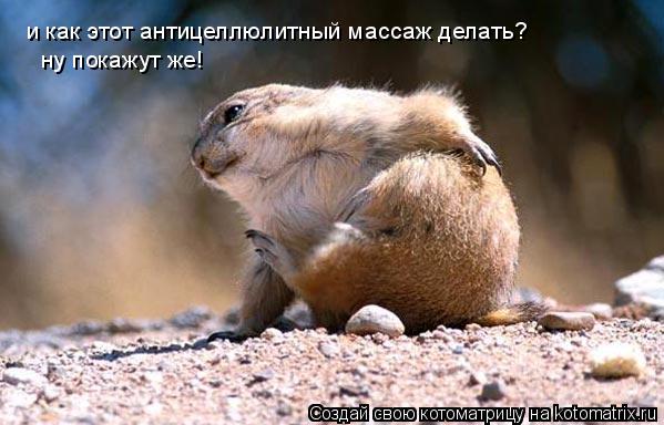 Котоматрица: и как этот антицеллюлитный массаж делать?  ну покажут же!