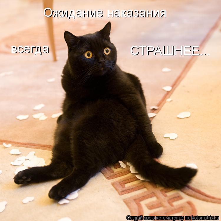 Котоматрица: Ожидание наказания  всегда СТРАШНЕЕ...