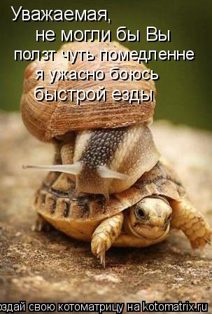 Уважаемая, не могли бы Вы ползт чуть помедленне я ужасно боюсь быстрой езды... Котоматрица: Уважаемая, не могли бы Вы ползт чуть помедленне я ужасно боюсь быстрой езды
