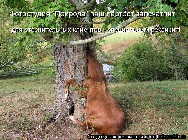 Фотостудия "Природа" ваш портрет запечатлит, для стеснительных клиентов - специальный реквизит!... Котоматрица: Фотостудия "Природа" ваш портрет запечатлит, для стеснительных клиентов - специальный реквизит!