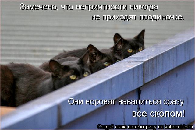 Замечено, что неприятности никогда не приходят поодиночке. Они норовят навалиться сразу все скопом!... Котоматрица: Замечено, что неприятности никогда не приходят поодиночке. Они норовят навалиться сразу все скопом!
