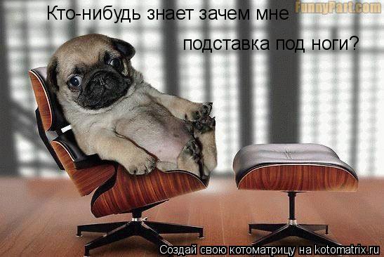 Кто-нибудь знает зачем мне подставка под ноги?... Котоматрица: Кто-нибудь знает зачем мне подставка под ноги?