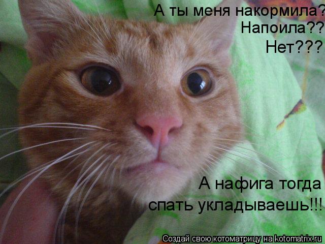 А ты меня накормила? Напоила?? Нет??? А нафига тогда спать укладываешь!!!... Котоматрица: А ты меня накормила? Напоила?? Нет??? А нафига тогда спать укладываешь!!!