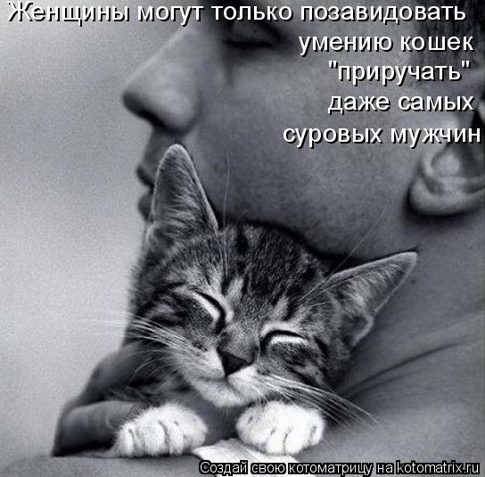 Женщины могут только позавидовать умению кошек "приручать" даже самых суровых мужчин... Котоматрица: Женщины могут только позавидовать умению кошек "приручать" даже самых суровых мужчин