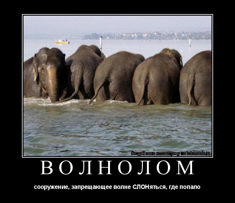 ВОЛНОЛОМ сооружение, запрещающее волне СЛОНяться, где попало... Котоматрица: ВОЛНОЛОМ сооружение, запрещающее волне СЛОНяться, где попало