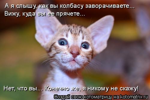 А я слышу, как вы колбасу заворачиваете... Вижу, куда вы ее прячете... Нет, что вы... Конечно же, я н... Котоматрица: А я слышу, как вы колбасу заворачиваете... Вижу, куда вы ее прячете... Нет, что вы... Конечно же, я никому не скажу!