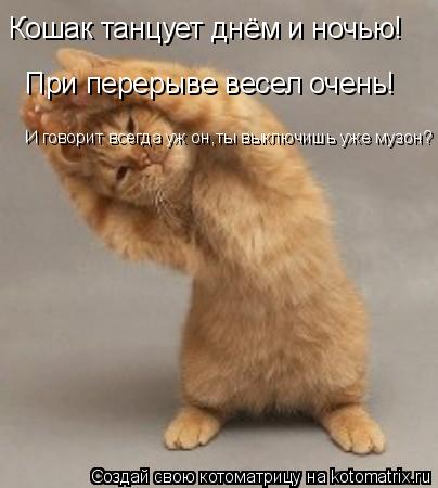 Котоматрица: Кошак танцует днём и ночью! При перерыве весел очень! И говорит всегда уж он,ты выключишь уже музон?