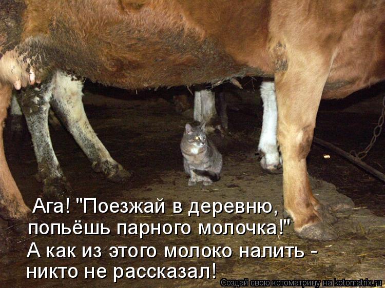 Ага! "Поезжай в деревню, попьёшь парного молочка!" А как из этого молоко налить - никто не рассказа... Котоматрица: Ага! "Поезжай в деревню, попьёшь парного молочка!" А как из этого молоко налить - никто не рассказал!