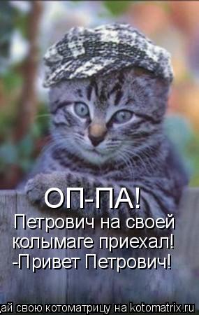 Котоматрица: ОП-ПА! Петрович на своей колымаге приехал! -Привет Петрович!