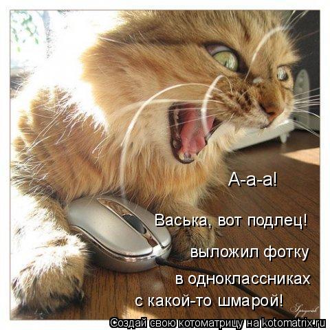 Котоматрица: А-а-а! Васька, вот подлец! выложил фотку в одноклассниках с какой-то шмарой!