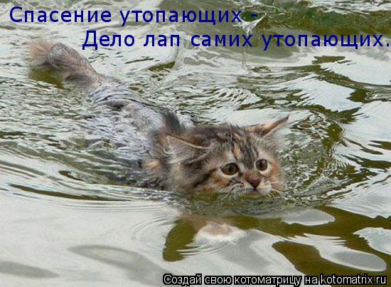 Котоматрица: Спасение утопающих -  Дело лап самих утопающих.