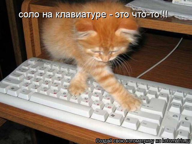 Котоматрица: соло на клавиатуре - это что-то!!!