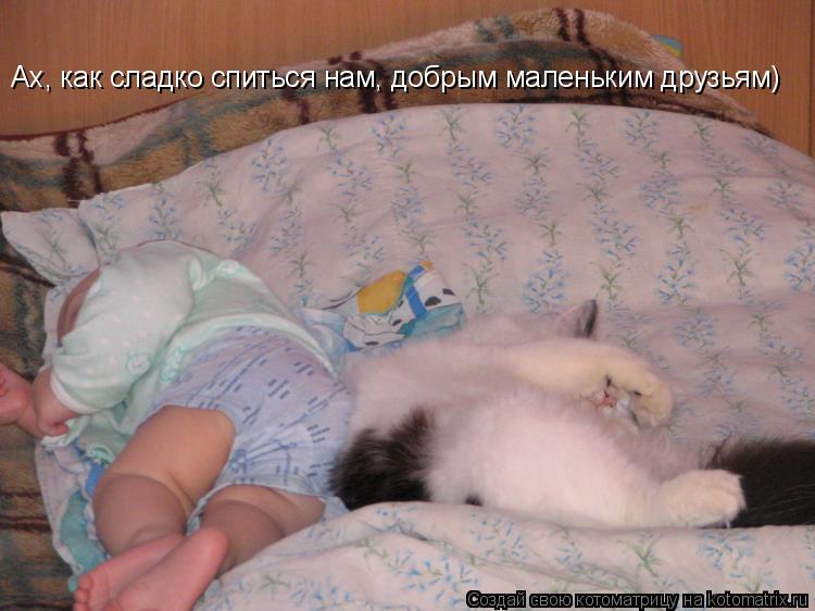 Котоматрица: Ах, как сладко спиться нам, добрым маленьким друзьям)