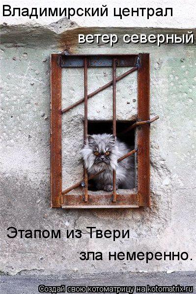 Котоматрица: ветер северный Владимирский централ  Этапом из Твери зла немеренно.