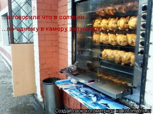 Котоматрица: ...а говорили что в солярии... ...по-одному в камеру запускают...