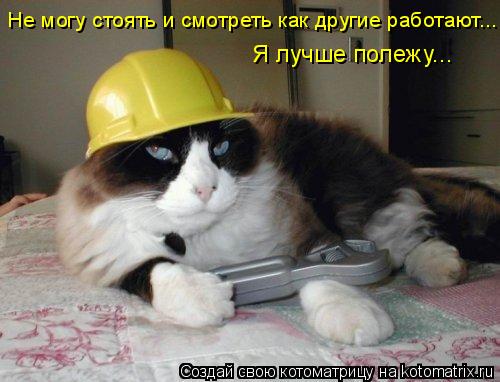 Котоматрица: Не могу стоять и смотреть как другие работают... Я лучше полежу...