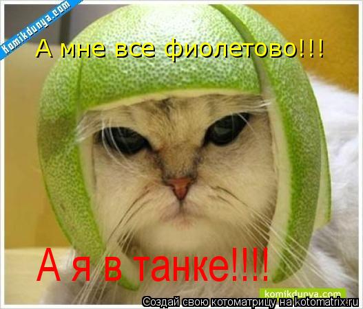 Котоматрица: А мне все фиолетово!!! А я в танке!!!!