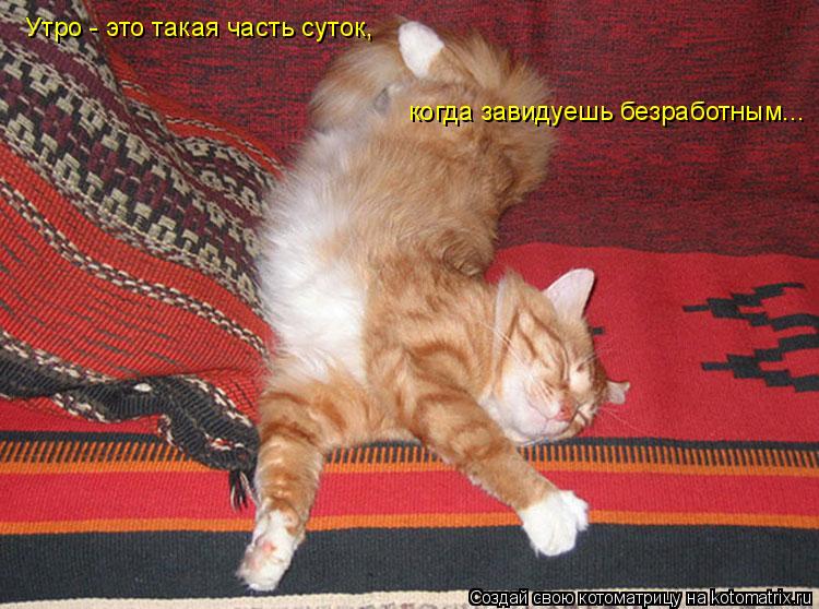 Котоматрица: Утро - это такая часть суток,  когда завидуешь безработным...