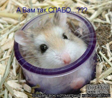 Котоматрица: А Вам так СЛАБО...???