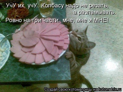 Котоматрица: УчУ их, учУ.. Колбасу надо не резать, мне, мне и МНЕ! а разламывать. Ровно на три части: