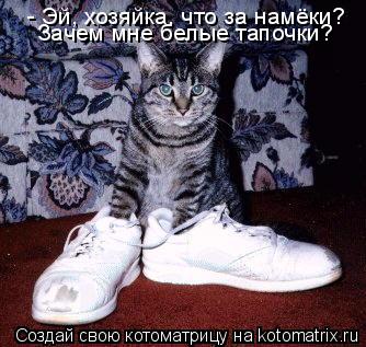 Котоматрица: - Эй, хозяйка, что за намёки? Зачем мне белые тапочки?