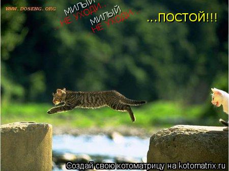 Котоматрица: МИЛЫЙ МИЛЫЙ ...НЕ УХОДИ... ...НЕ УХОДИ... ...ПОСТОЙ!!!