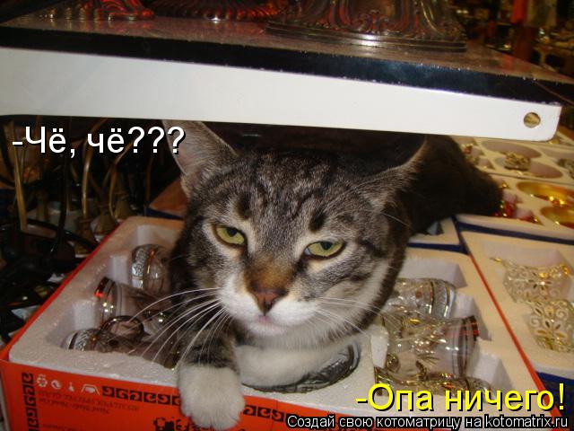 Котоматрица: -Чё, чё??? -Опа ничего!