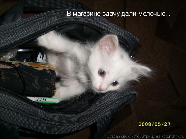 Котоматрица: В магазине сдачу дали мелочью...