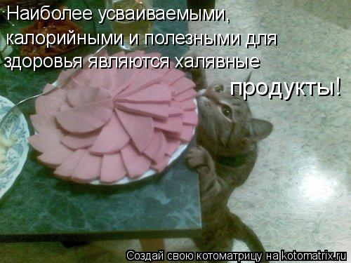 Наиболее усваиваемыми, калорийными и полезными для здоровья являются халявные продукты!... Котоматрица: Наиболее усваиваемыми, калорийными и полезными для здоровья являются халявные продукты!