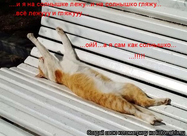 Котоматрица: ....и я на солнышке лежу...и на солнышко гляжу... ..всё лежууу и гляжууу.... ...ойЙ...а я сам как солнышко... ...!!!!!