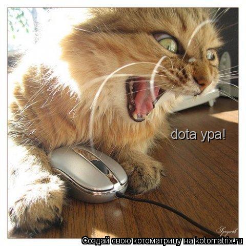 dota ура!... Котоматрица: dota ура!