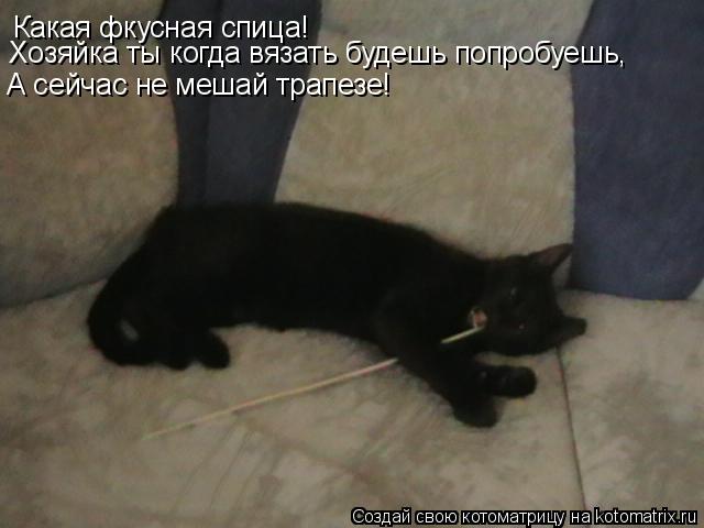 Какая фкусная спица! Хозяйка ты когда вязать будешь попробуешь, А сейчас не мешай трапезе!... Котоматрица: Какая фкусная спица! Хозяйка ты когда вязать будешь попробуешь, А сейчас не мешай трапезе!