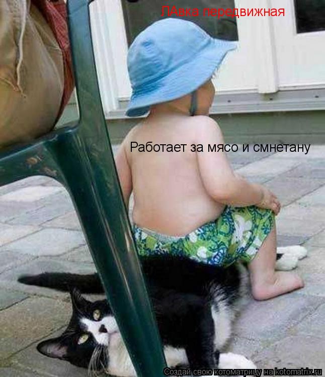 Котоматрица: ЛАвка передвижная Работает за мясо и смнетану